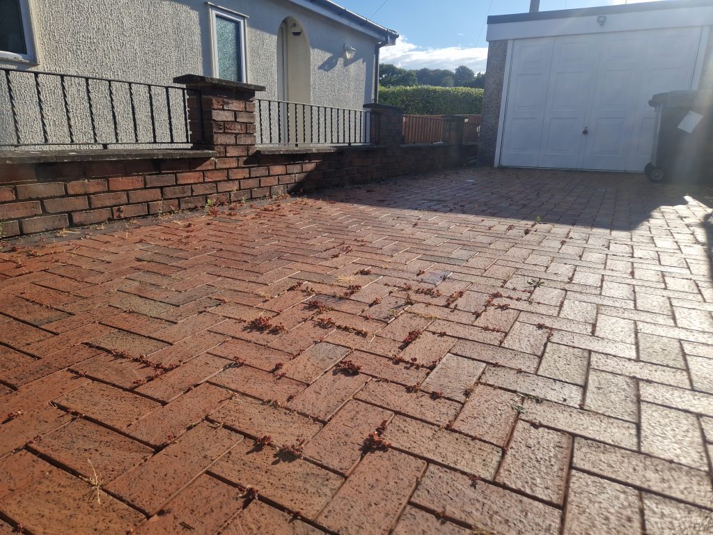 Exterior cleaning result